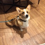 レジーナリゾート軽井沢 御影用水 - テーブル席はリードフックあり