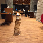 Regina Resort Karuizawa Mikage Yosui - 2階レストランの入り口