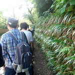 Asakusa Shokudou - 鎌倉散策：明月院②平日でも40分前には50m以上の行列が。。。