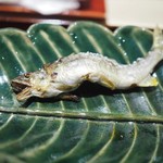 銀座 しのはら - 郡上八幡の鮎の塩焼き