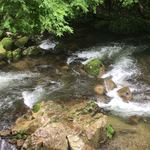 カントリーレストラン　渓流荘 - 