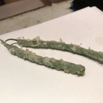 天ぷら 元吉 - インゲン