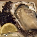 旬菜厨房 海月 - 岩牡蠣