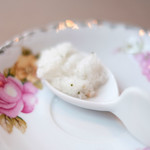 ラ スフォリーナ - メニューピッコロ<平日限定> 1400円 のローズマリーのグラニテ