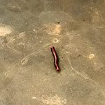 Karunakarala Ayurveda Spa And Resort - 