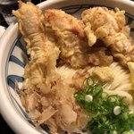 Udon Ubara - 