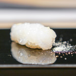 鮨 早川 - 富山県白海老