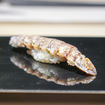 鮨 早川 - 小樽の子持ちのシャコ