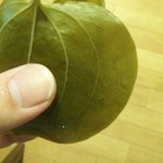 Taihei Mochi - 