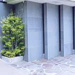 レフェルヴェソンス - レフェルヴェソンス（Ｌ’Ｅｆｆｅｒｖｅｓｃｅｎｃｅ）