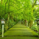 Wataya - 白山ひめ神社の表参道