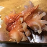 Ginzushi - 赤貝