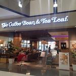 The Coffee Bean & Tea Leaf - 