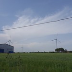 LA PERLA MOZZARELLA - 