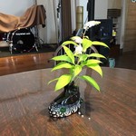 メイウインド カフェ - いい雰囲気