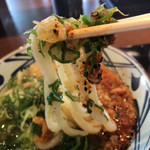 Marugame Seimen - 