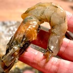 桜梅桃李 - 天使の海老