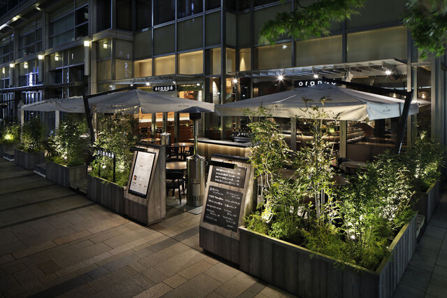 Orange オランジェ 六本木 ダイニングバー ネット予約可 食べログ