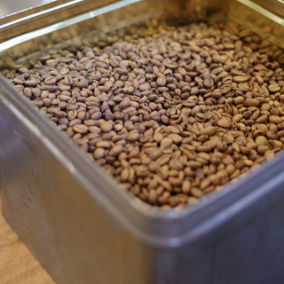 ファイブビーンズ_1