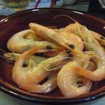 真魚 - モロゲ海老