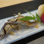 日本料理 藤井 - 稚鮎、ヤマモモ、ほおづき