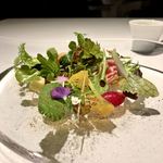 レフェルヴェソンス - 