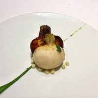 レフェルヴェソンス - 