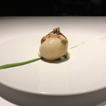 レフェルヴェソンス - 