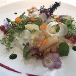 AMOUR - きれいな前菜