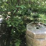 魚菜料理 縄屋 - 