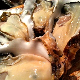 居酒屋ダイニング ひみつきち_2