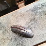 鮨 つぼみ - コハダ