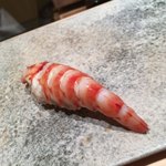 鮨 つぼみ - 海老