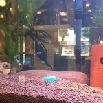 オーノ ボーノ - 