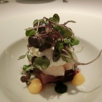 EPURE - 