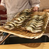 銀座 しのはら - 郡上八幡の稚鮎