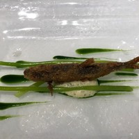 シェ・イノ - 