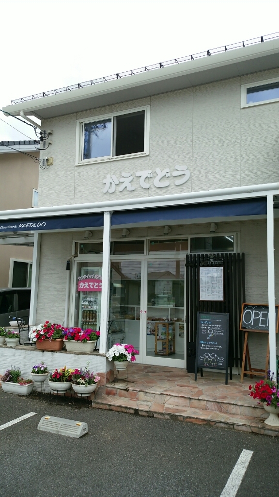かえでどう name=