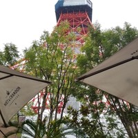 Terrace Dining TANGO - 