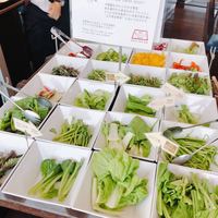 花ごよみ  東京 - 東京野菜たくさん