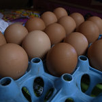 須崎食料品店 - たまご