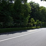 ケケ・デプレ - 途中の下保谷4丁目公園