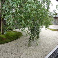 ガーデンレストラン徳川園 - 