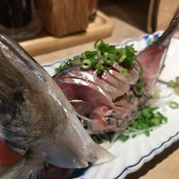 季節割烹 勝味 - あじたたき ¥900+tax