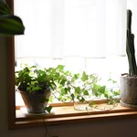 ガストロノミア冨屋 - 店内