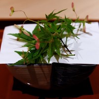 杦 - 