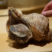 江戸前鮓 すし通 - 