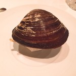 レストラン・モリエール - 北寄貝のリゾット