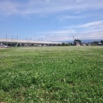 龍馬軒 - 店裏の草原と北陸新幹線の高架