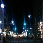 コウモリの羽 - 